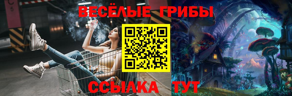 Волжск  даркнет сайт  Вход с VPN  Псилоцибиновые грибы MAGIC MUSHROOMS 